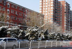 大卫城,古以色列的辉煌与传奇